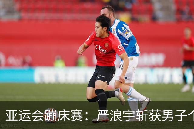 亚运会蹦床赛：严浪宇斩获男子个人金牌 王梓赛荣获银牌