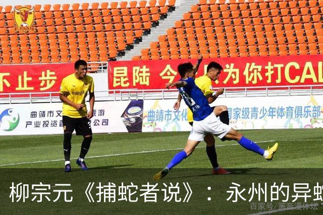 柳宗元《捕蛇者说》：永州的异蛇究竟为何？