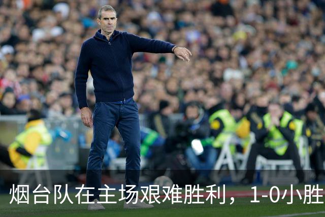 烟台队在主场艰难胜利，1-0小胜泰安泰山城建队